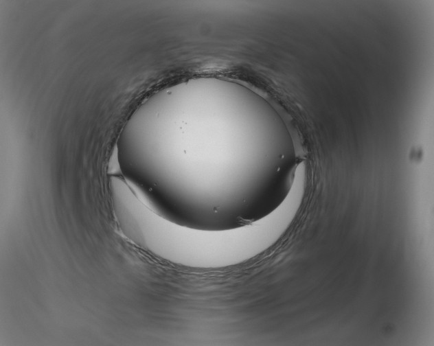 X0000116341441200912221431