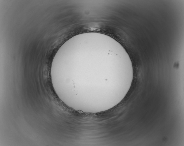 X0000116341442200912221431