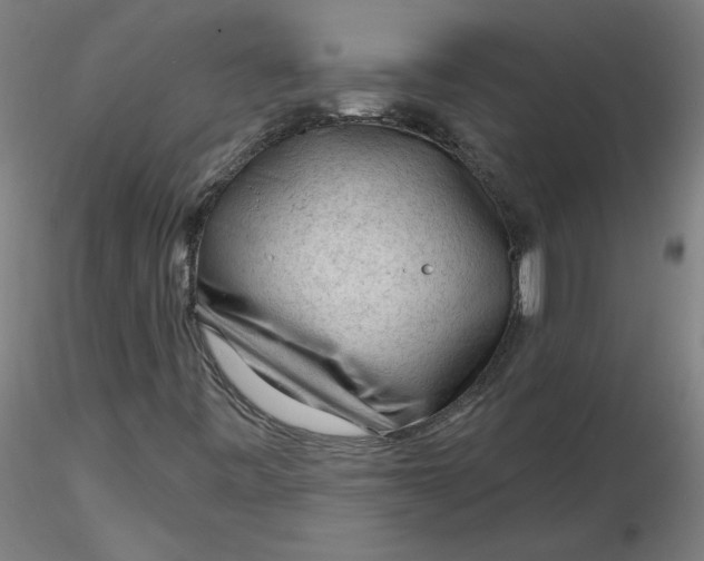 X0000116341443200912221431