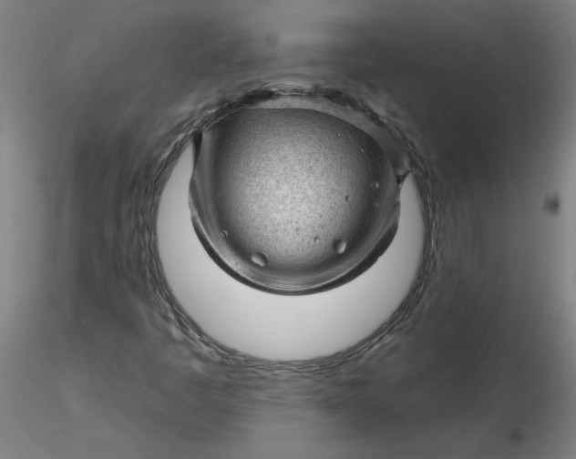 X0000116341445200912221431