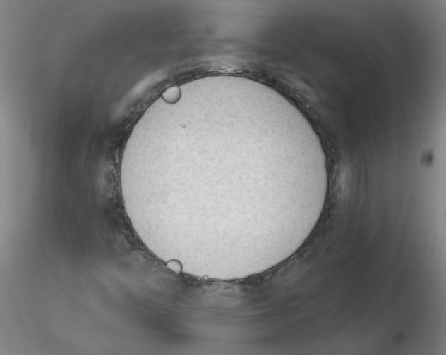 X0000116341446200912221431