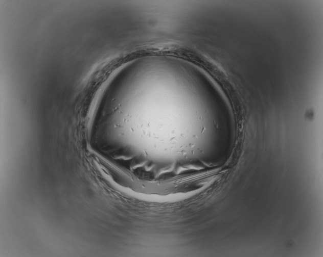 X0000116341447200912221431