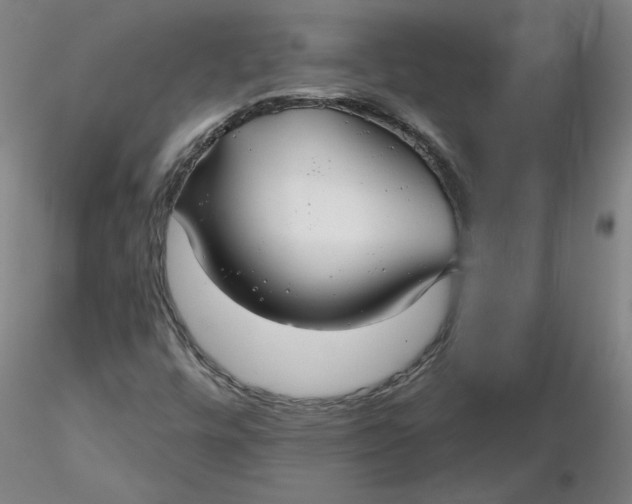 X0000116341448200912221431