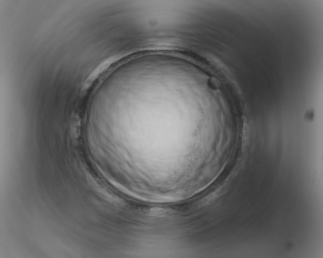 X0000116341449200912221431