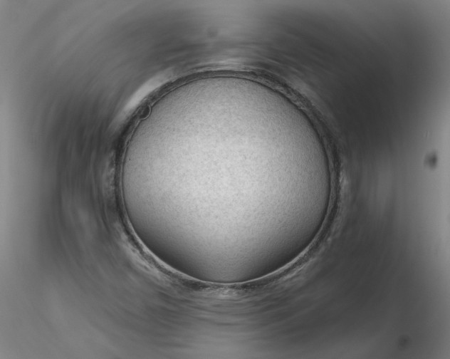 X0000116341450200912221431