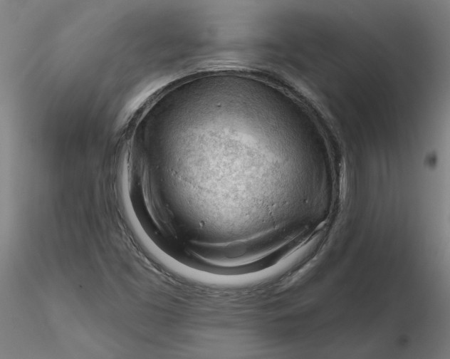 X0000116341453200912221431