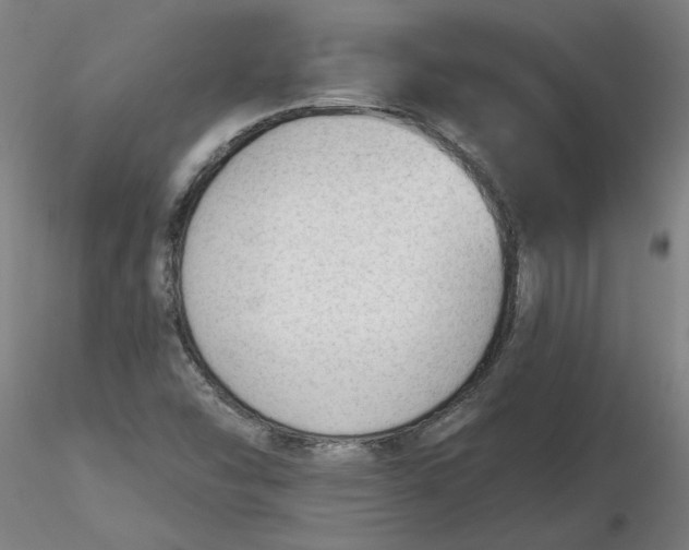 X0000116341454200912221431