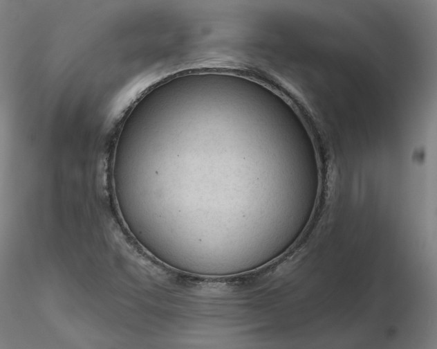 X0000116341455200912221431