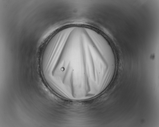 X0000116341456200912221431