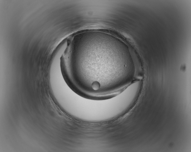 X0000116341457200912221431