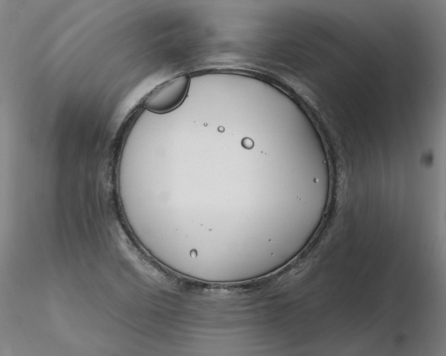 X0000116341458200912221431