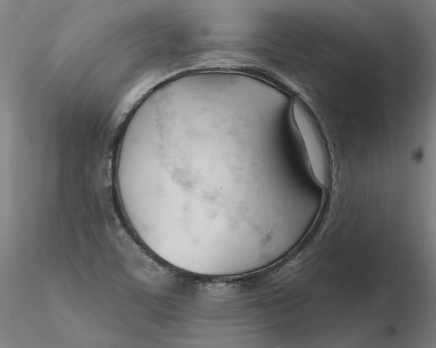 X0000116341459200912221431