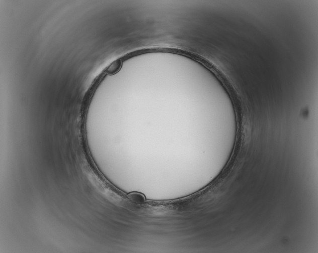 X0000116341460200912221431