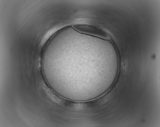 X0000116341461200912221431