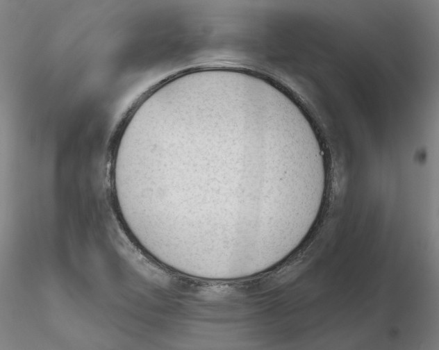 X0000116341462200912221431