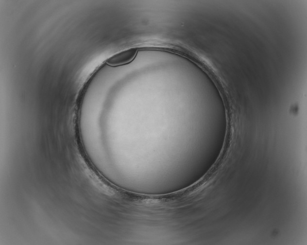 X0000116341463200912221431