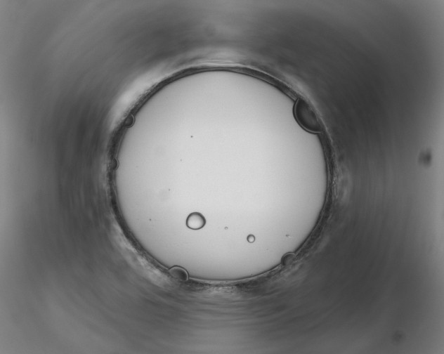 X0000116341464200912221431