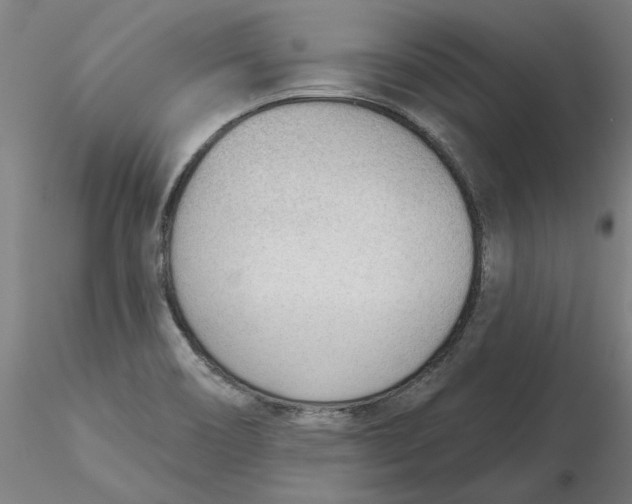 X0000116341466200912221431