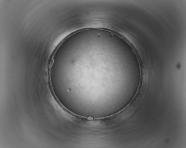 X0000116341468200912221431