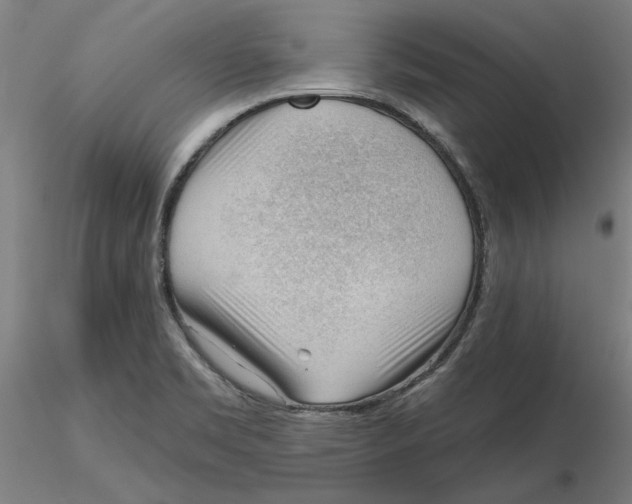 X0000116341469200912221431