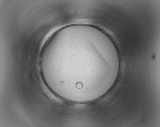 X0000116341470200912221431