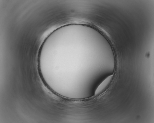 X0000116341471200912221431