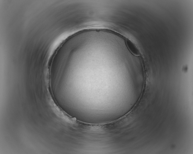 X0000116341472200912221431