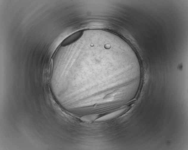 X0000116341473200912221431