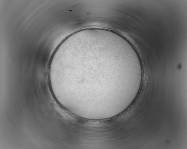 X0000116341474200912221431