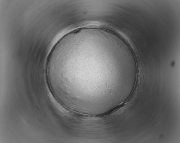 X0000116341475200912221431