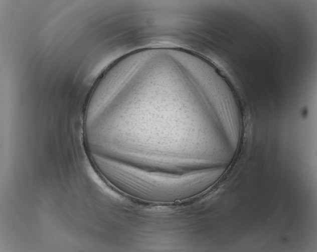 X0000116341476200912221430