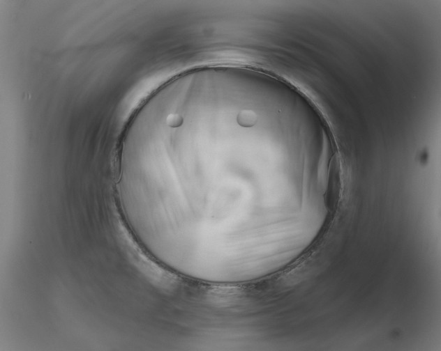 X0000116341477200912221430