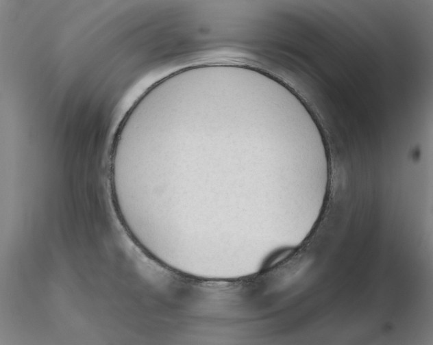 X0000116341478200912221430