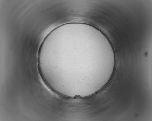 X0000116341479200912221430