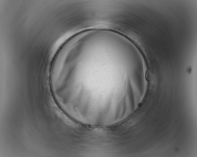 X0000116341480200912221430