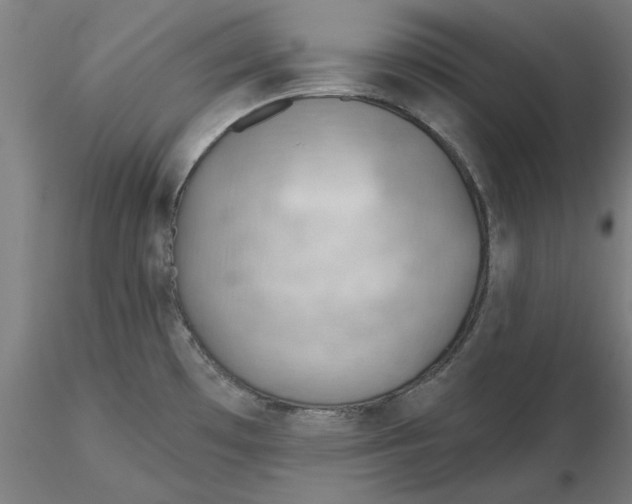 X0000116341481200912221430