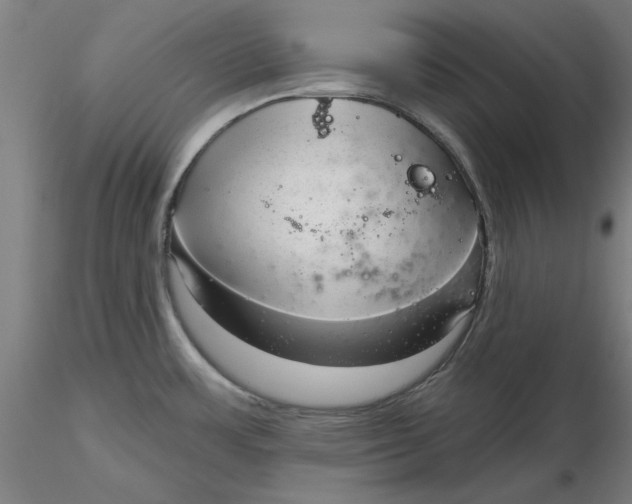 X0000116341483200912221430