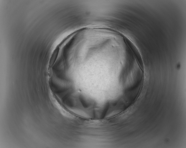 X0000116341485200912221430