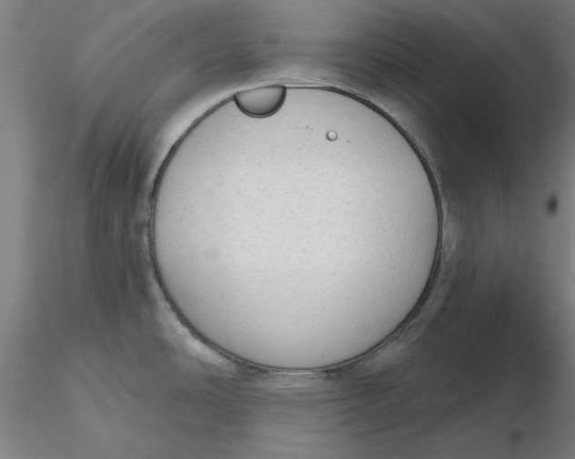 X0000116341486200912221430