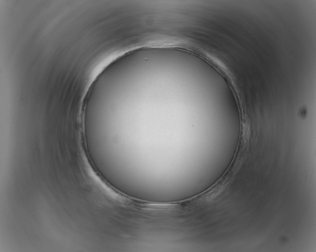 X0000116341487200912221430