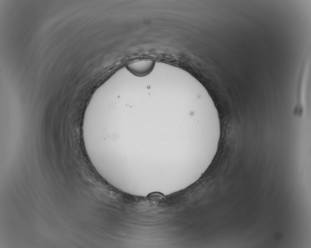 X0000116341489200912221430