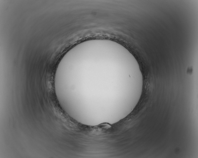 X0000116341490200912221430