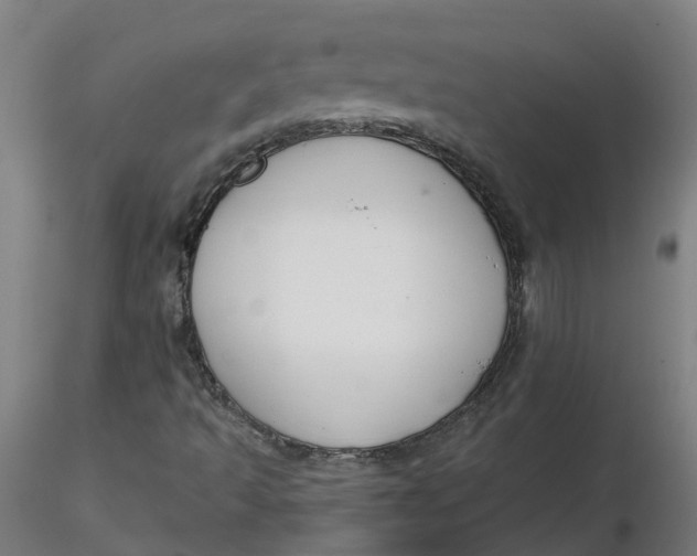 X0000116341493200912221430