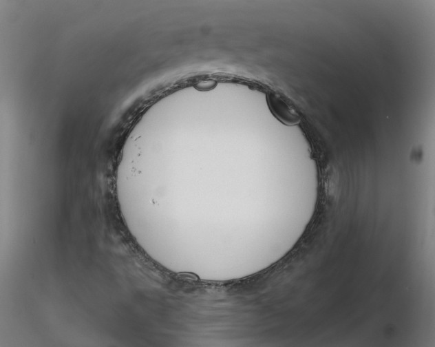 X0000116341495200912221430