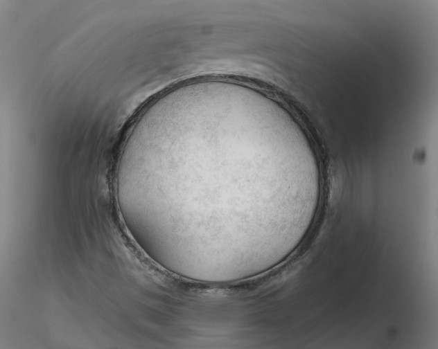 X0000116341497200912221430