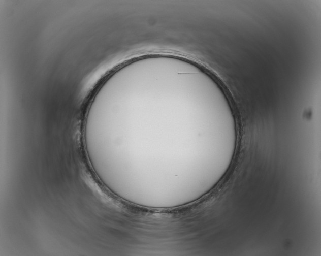 X0000116341503200912221430