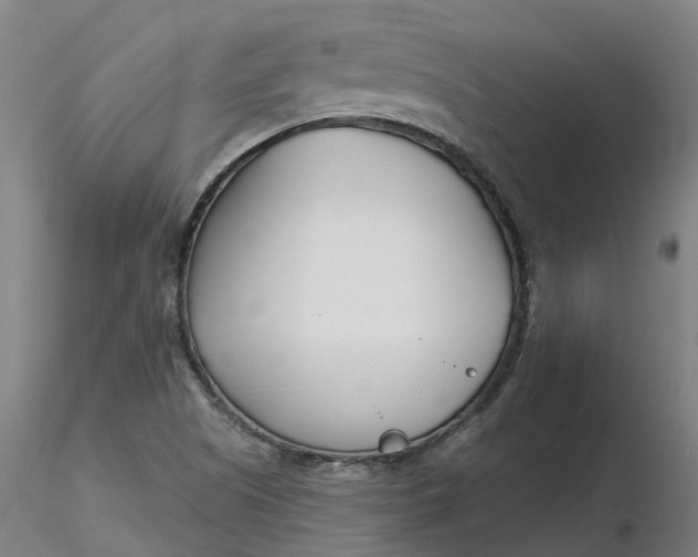 X0000116341505200912221430