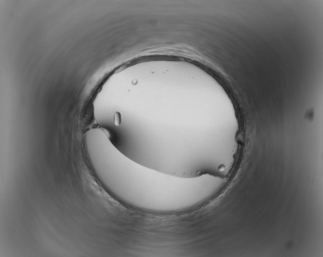 X0000116341506200912221430