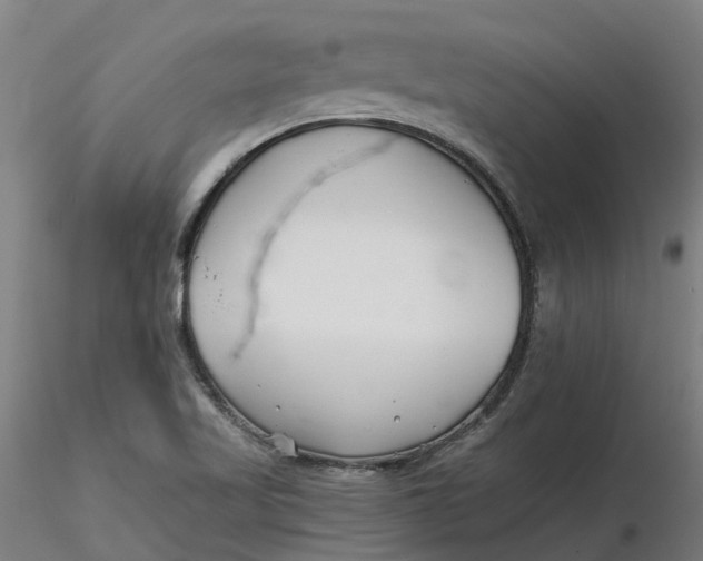 X0000116341509200912221430