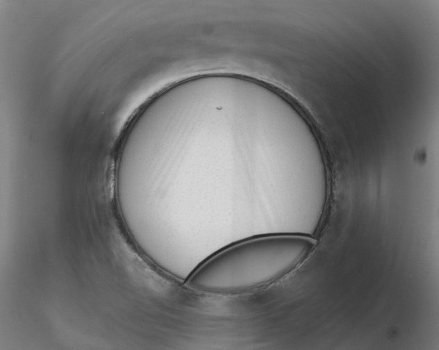 X0000116341510200912221430